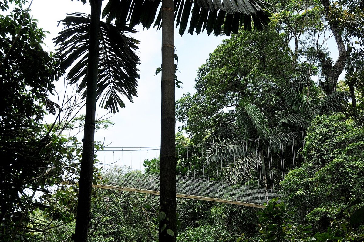 Místico Arenal Hanging Bridges Park