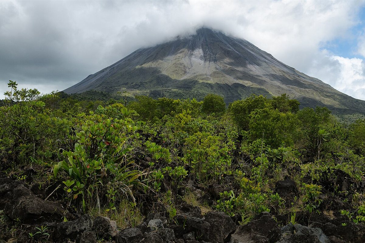 Caminata Volcán Arenal (Senderos de Lava 1968)