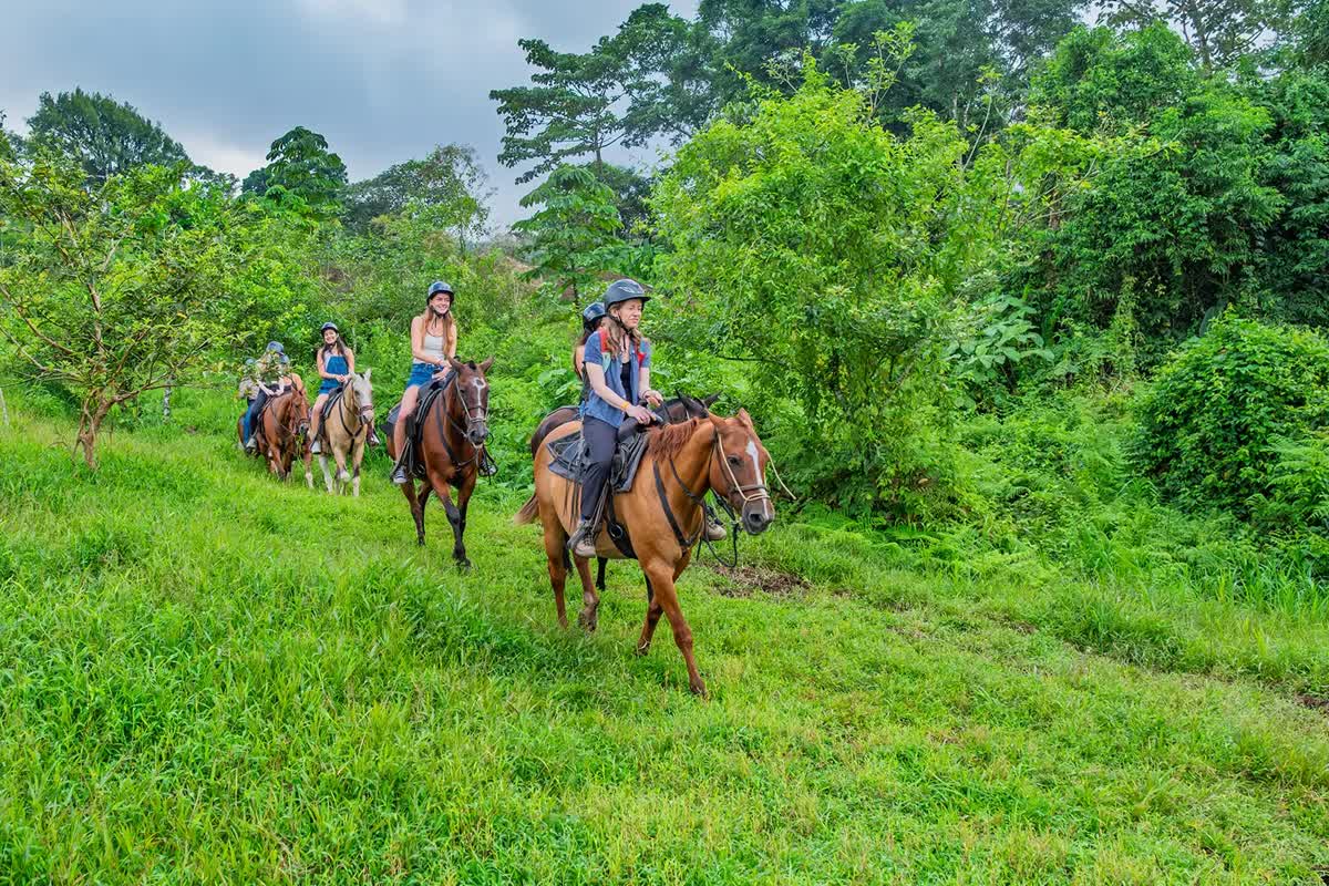Cabalgata Panorámica Paco's Horses