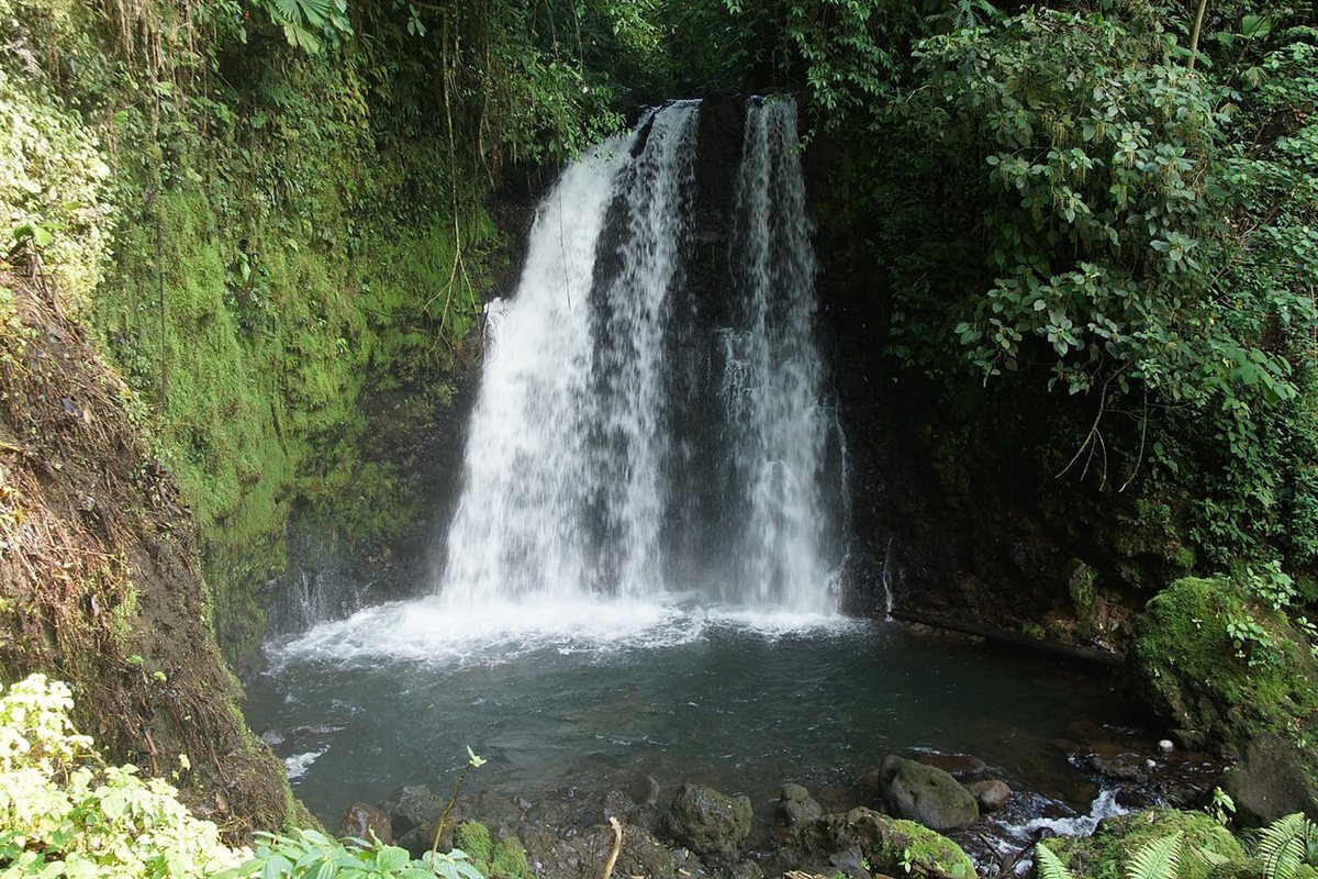 Excursión Día Completo Río Celeste y Parque Nacional Tenorio